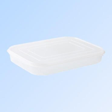 Cutie de depozitare de uz casnic, Cyrax, Caserola pentru Frigider, Rezistenta la umiditate, Rezervor Sigilat pentru Depozitare Alimentara, 24.5 x 18.5 x 3.5cm, Alb Transparent
